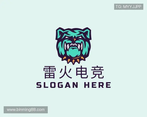 认识雷火电竞